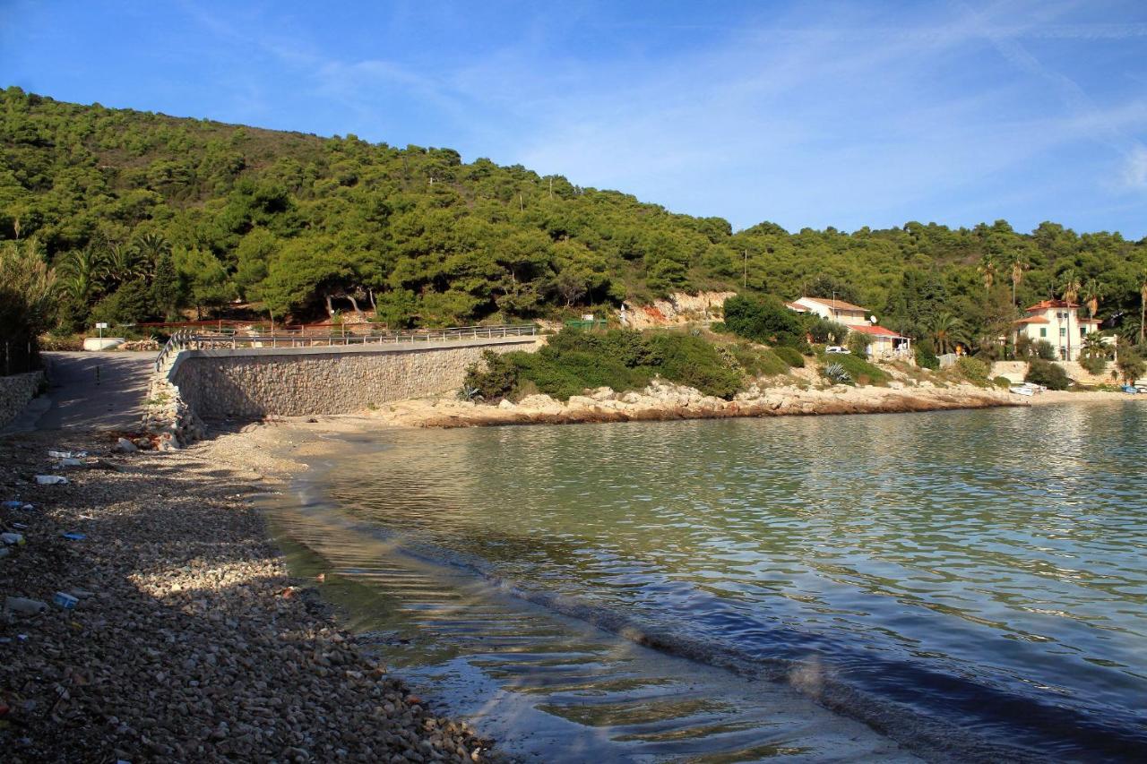 Apartments By The Sea Milna, Vis - 8913 Zewnętrze zdjęcie