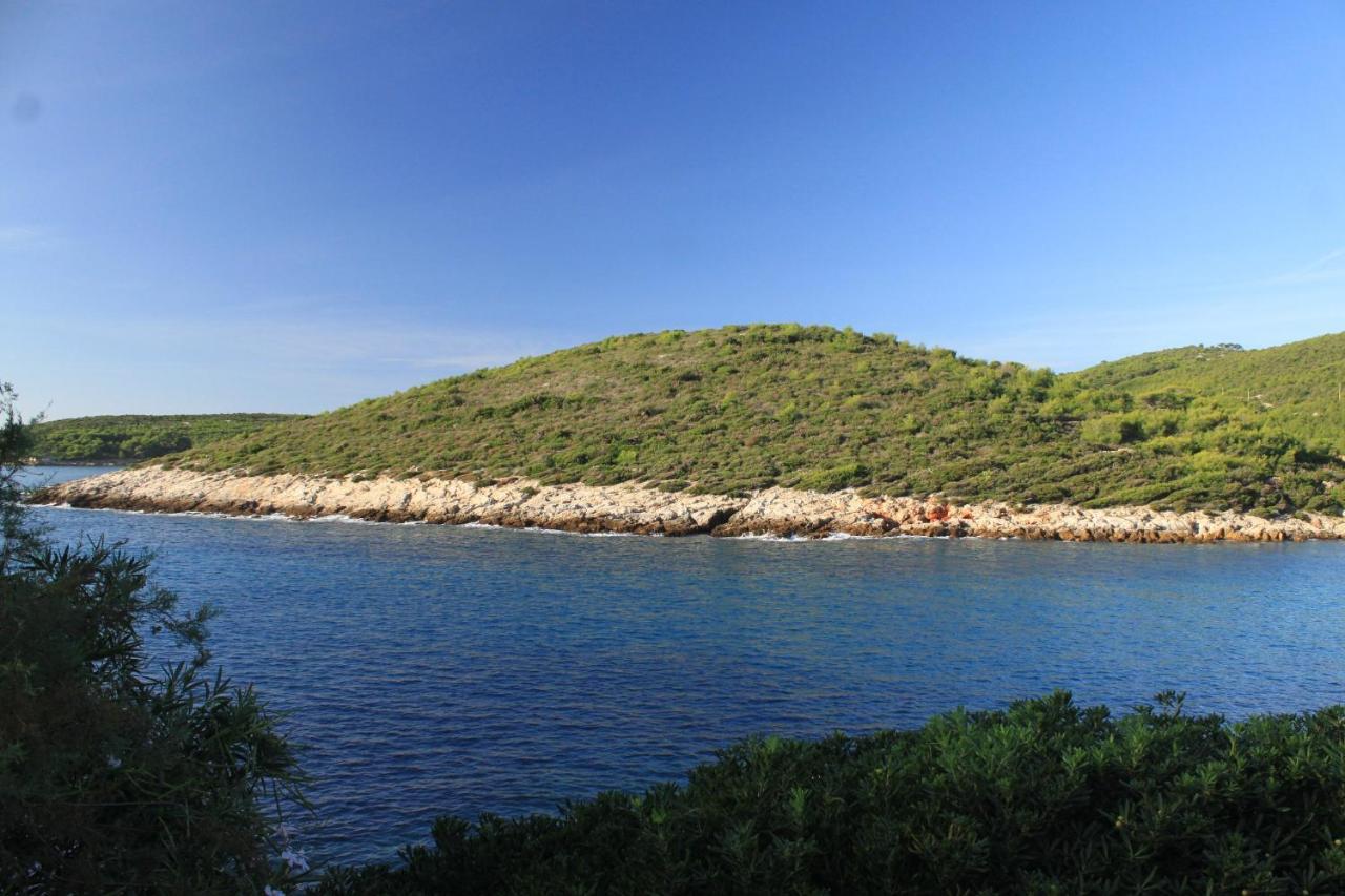 Apartments By The Sea Milna, Vis - 8913 Zewnętrze zdjęcie